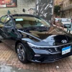 استقبال من مطار القاهرة